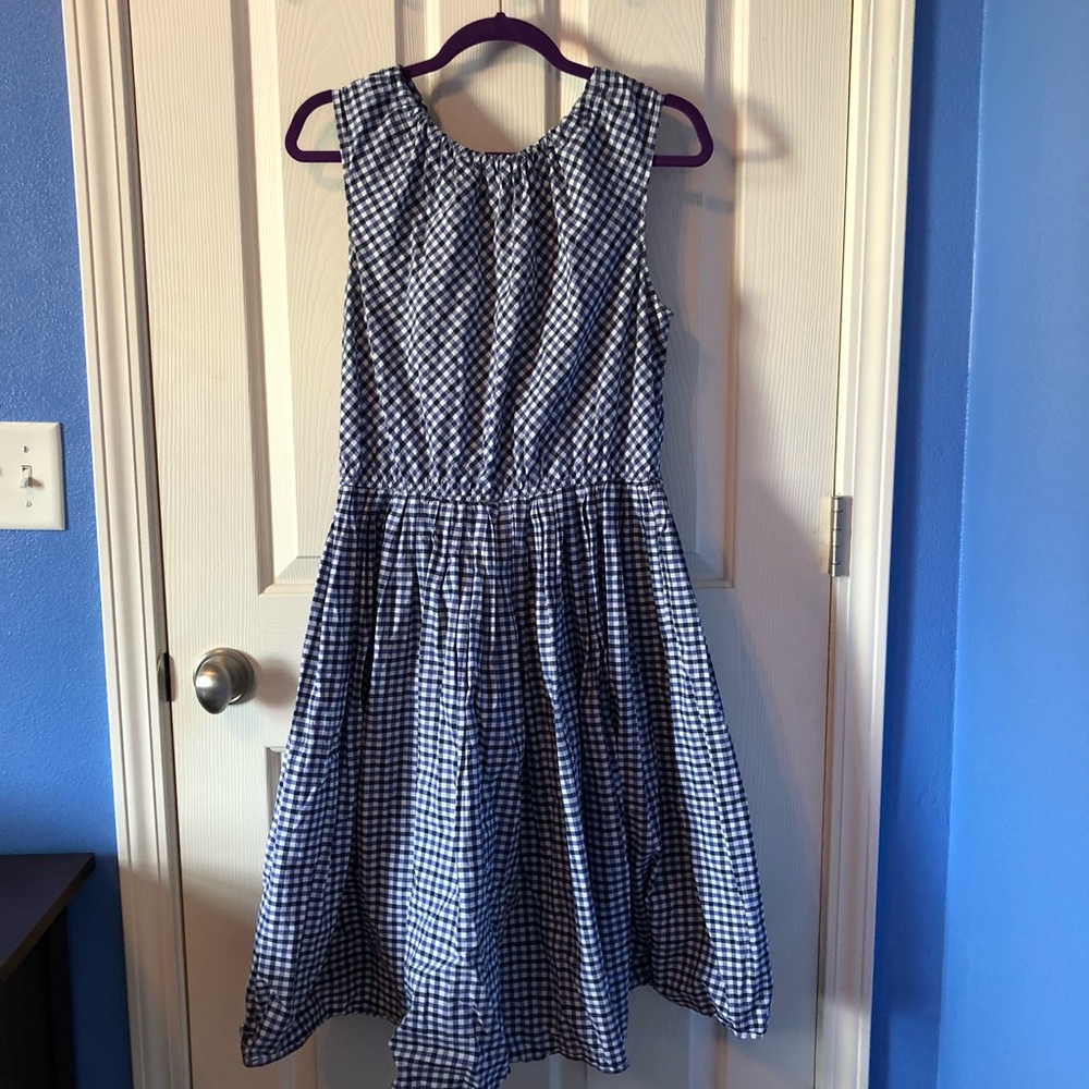 Blue and white checkered dress